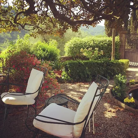 Fattoria Di Pietrabuona