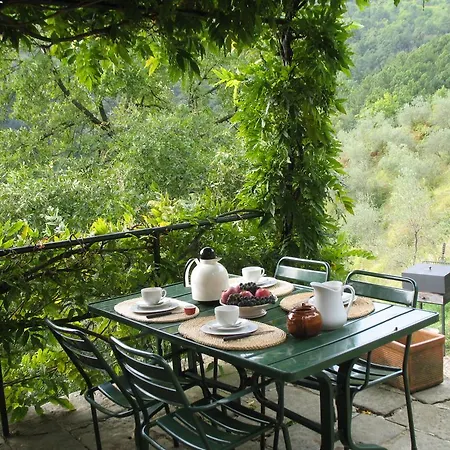 Farm stay Fattoria Di Pietrabuona *