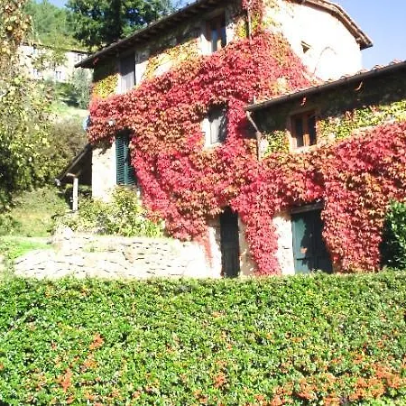 Farm stay Fattoria Di Pietrabuona
