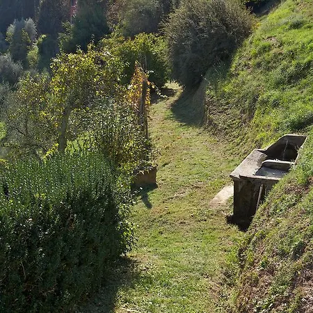 Fattoria Di Pietrabuona Farm stay Pescia