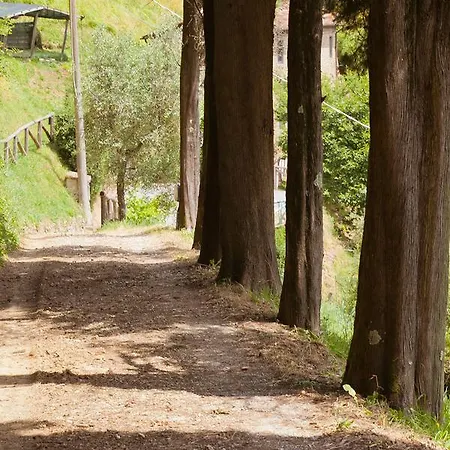 Farm stay Fattoria Di Pietrabuona