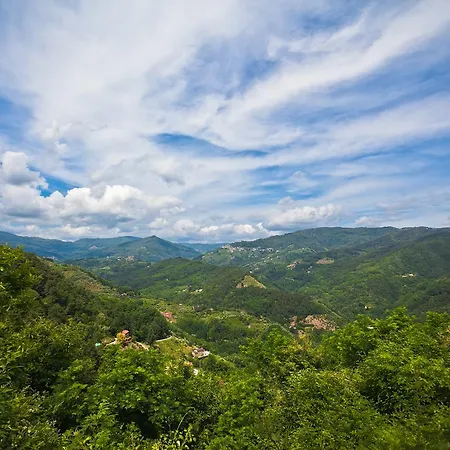 Farm stay Fattoria Di Pietrabuona *