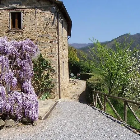 Fattoria Di Pietrabuona *