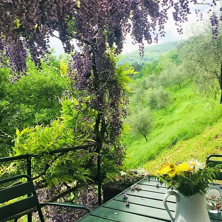 Fattoria Di Pietrabuona Farm stay